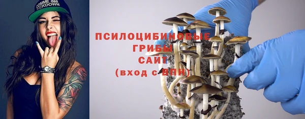 шишки Богданович