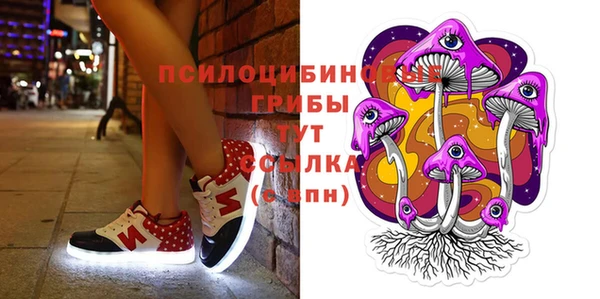 шишки Богданович