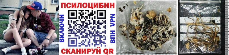 Галлюциногенные грибы Cubensis Няндома